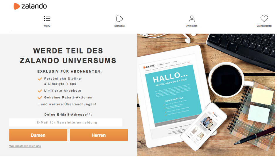 E-Mail Marketing Lead-Magneten finden